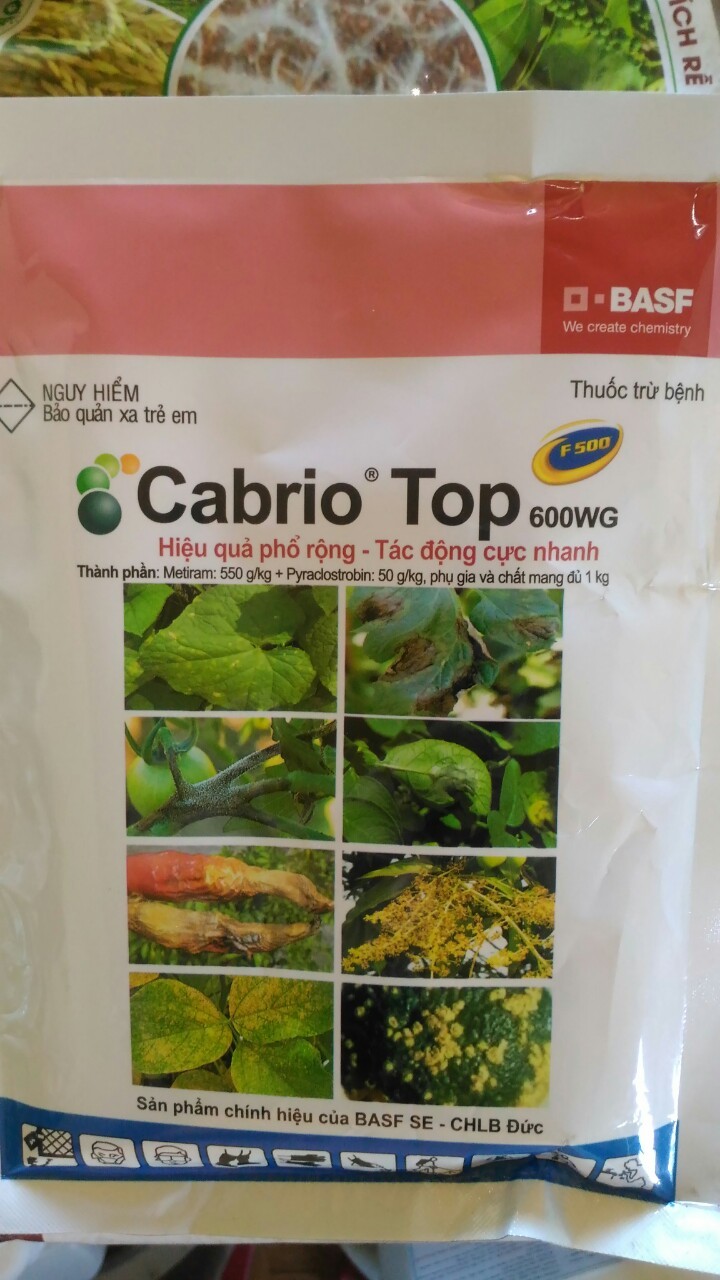 trừ bệnh thán thư - thối trái trên cây ớt, nấm bã trầu trên chanh dây Cabria Top -  trừ bệnh thán thư - thối trái trên cây