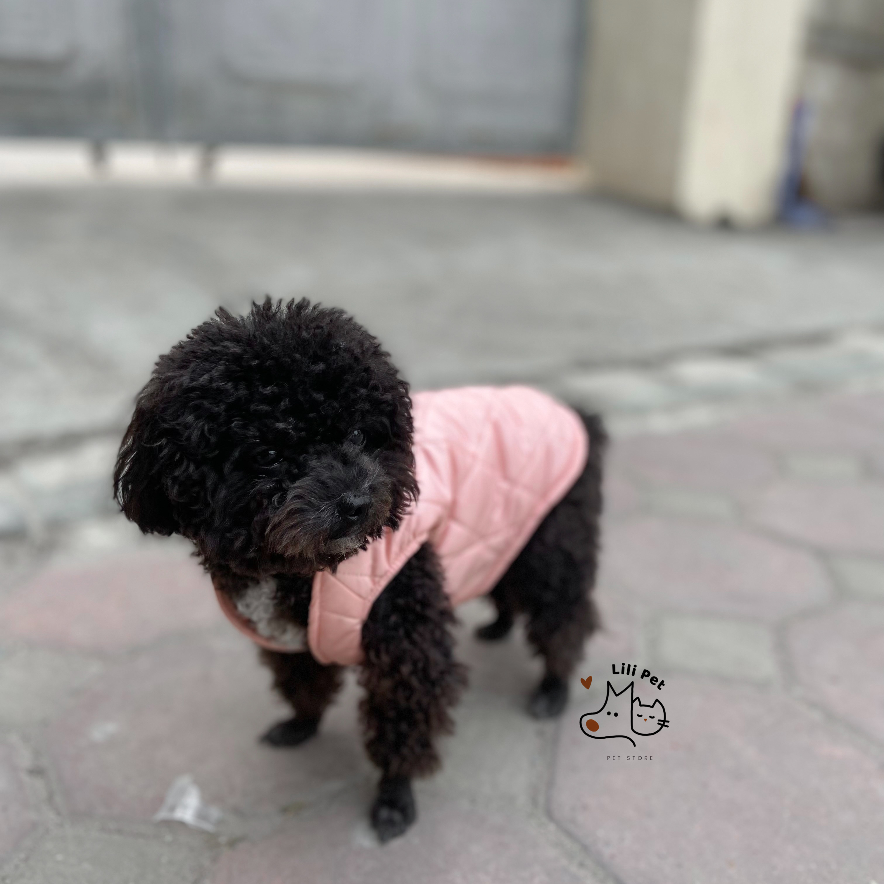 Áo phao trần bông cho chó mèo