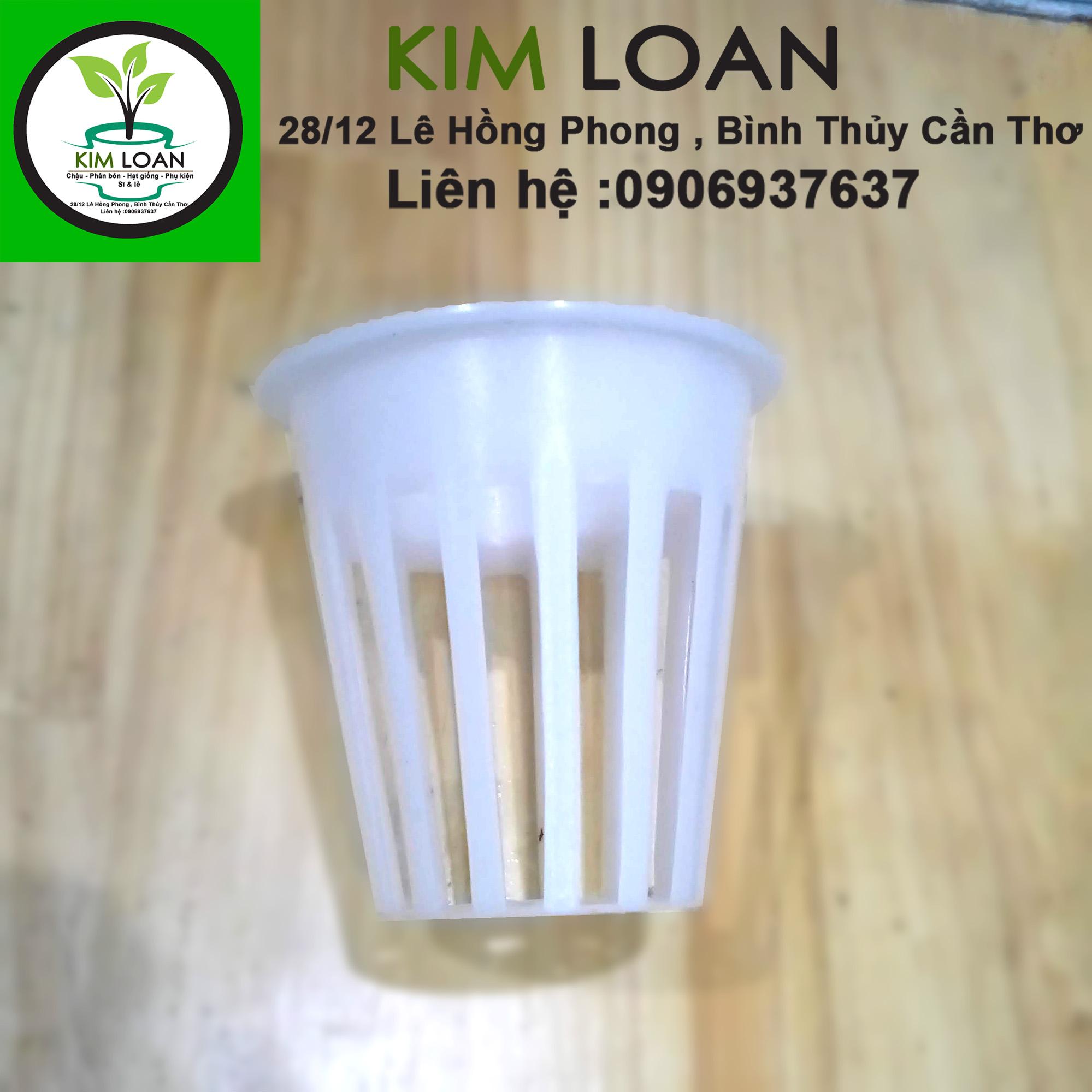 Combo 50 rọ thủy canh 6,5 x 6,5 cm