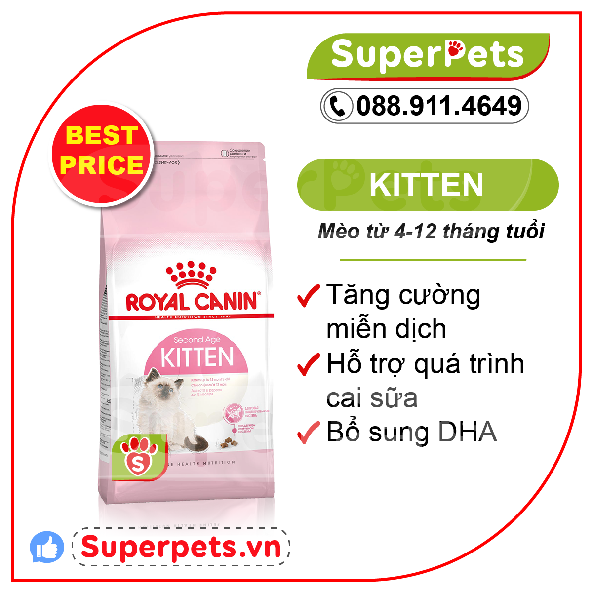 Hạt Khô Cho Mèo Kitten Siêu Tiết Kiệm Royal Canin-SUPERPETS VIỆT NAM