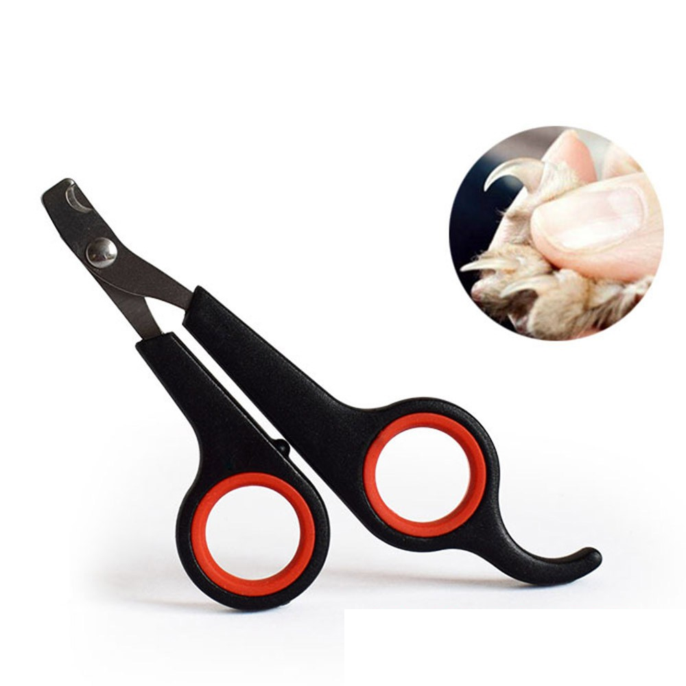 Kéo cắt móng dành cho chó mèo nhỏ Phụ kiện Long Vũ