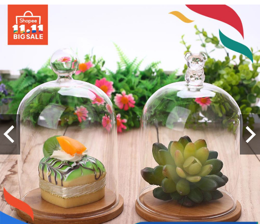 LỒNG KÍNH THUỶ TINH ĐẾ GỖ TRƯNG BÀY