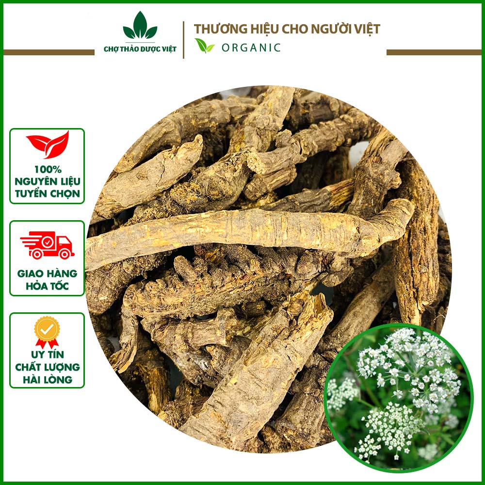 Khương hoạt xịn 500g, hàng chuẩn loại 1, khô, thơm phức - Chợ Thảo Dược Việt