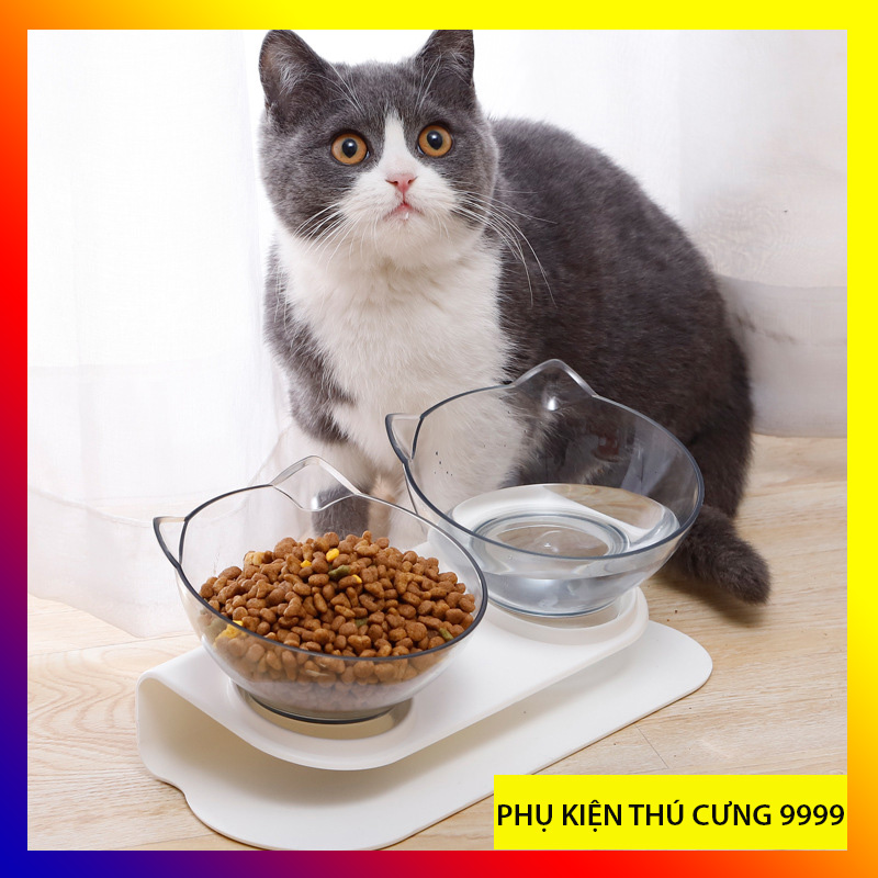 Bát đôi tai mèo trong suốt, bát nghiêng chống gù cho mèo