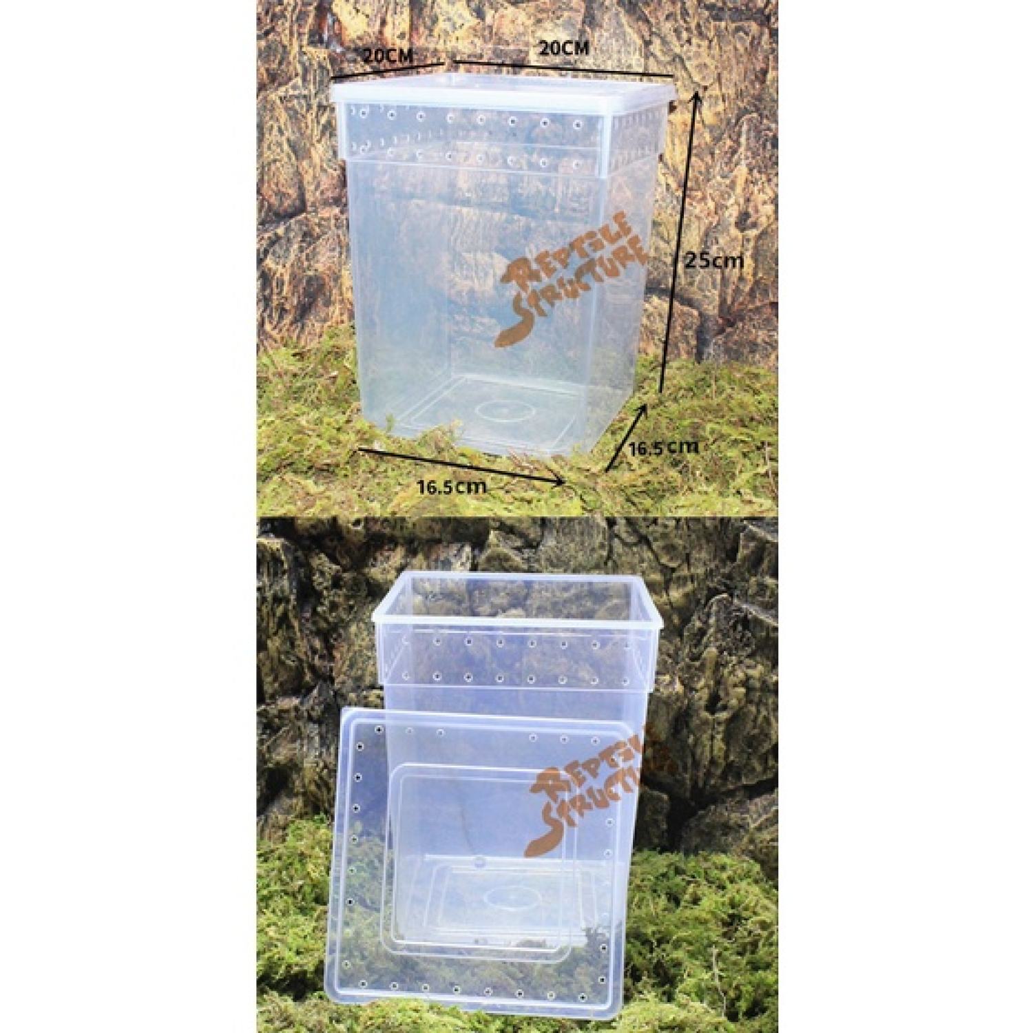 Hộp nuôi nhện cây, ếch, bọ ngựa, Crested Gecko.... kích thước 20χ20x25