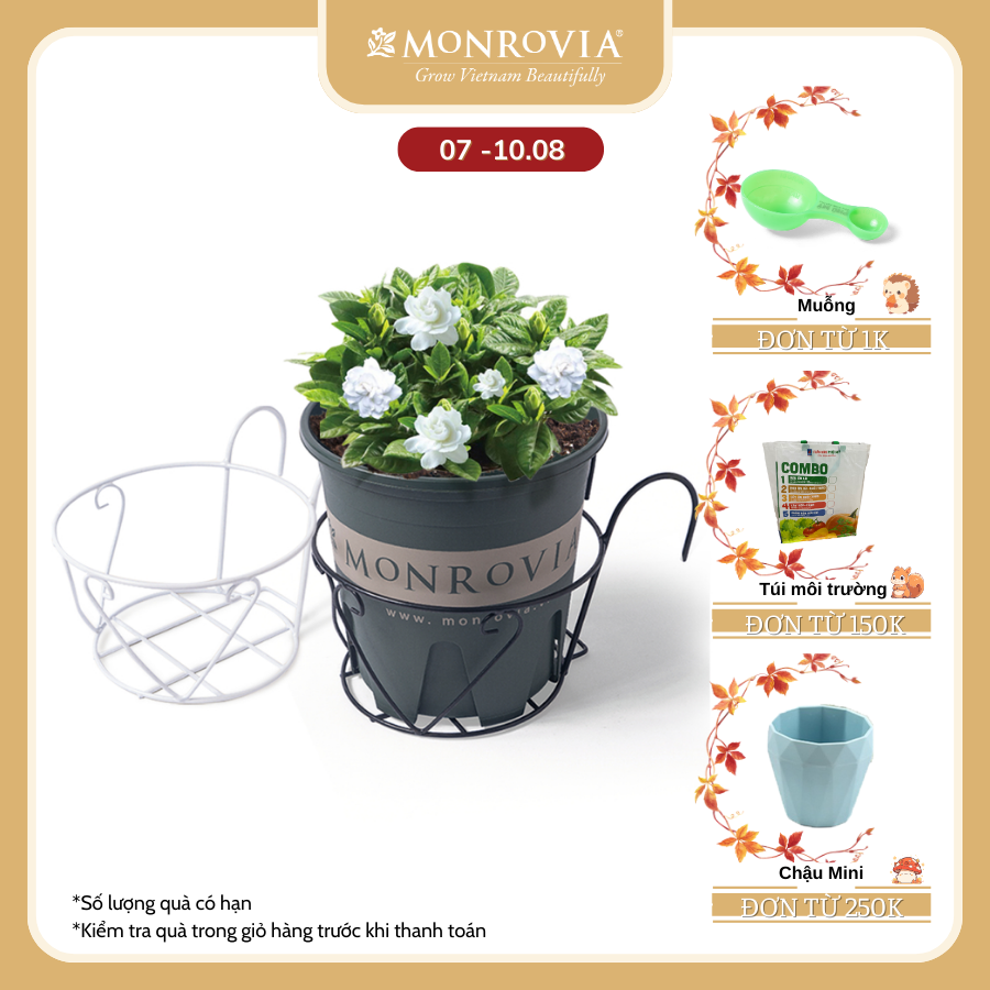 Combo 3 Giỏ treo chậu hoa ban công MONROVIA, giỏ sắt treo chậu hoa ban công, chậu treo ban công, kệ treo ban công, móc treo, khung thép, sơn tĩnh điện chính hãng thương hiệu MONROVIA
