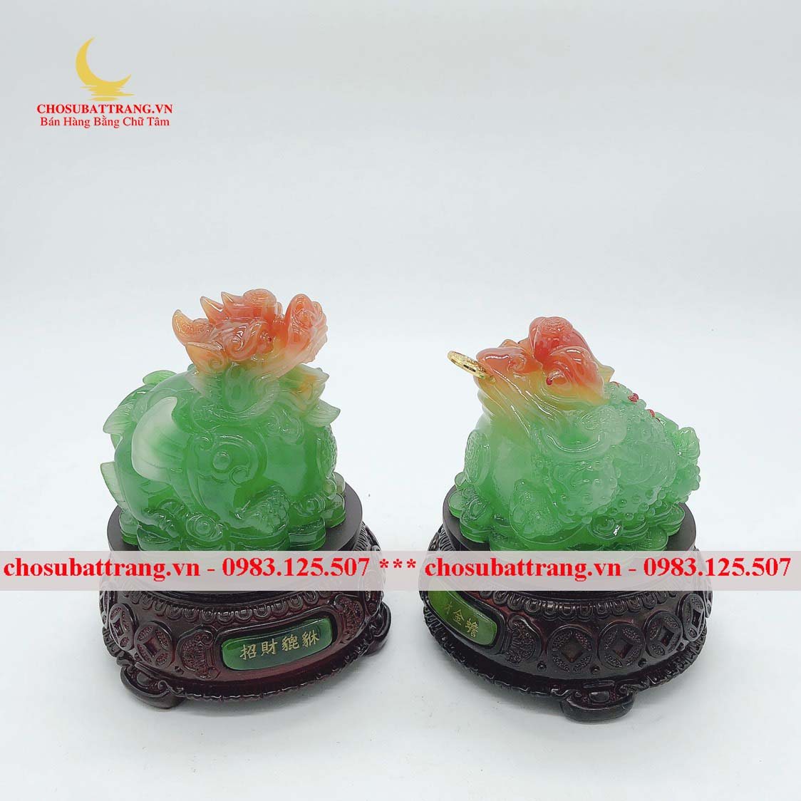 Combo cóc ngậm tiền vàng và tỳ hưu - đồ phong thuỷ thu hút tài lộc