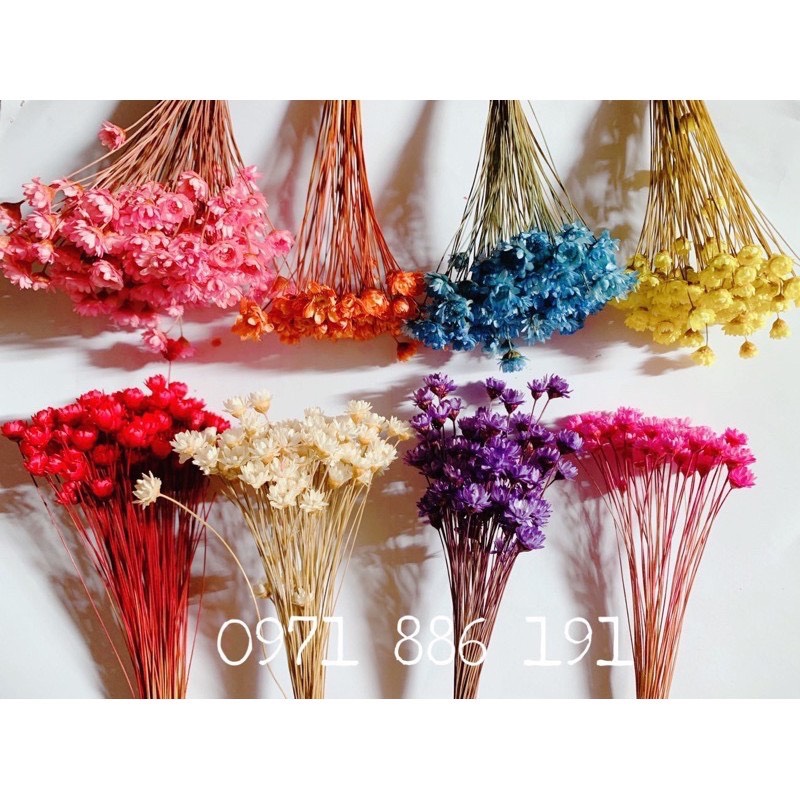 Set 10 bông hoa tuyết nhiệt đới màu tuỳ chọn trang trí nhà cửa, văn phòng