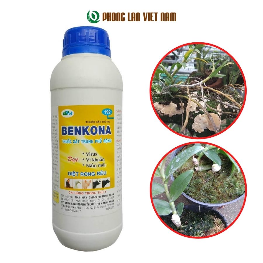 Benkona 1000ml sát khuẩn, khử trùng, diệt nấm mốc vi khuẩn dùng cho hoa lan, cây cảnh chai 1000ml - phonglanvietnam