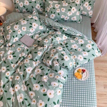 Set chăn ga poly 4 món