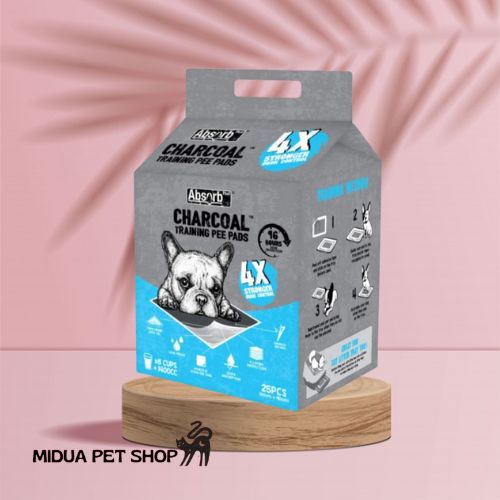 Tả lót than hoạt tính Absorb Plus size 60*90cm