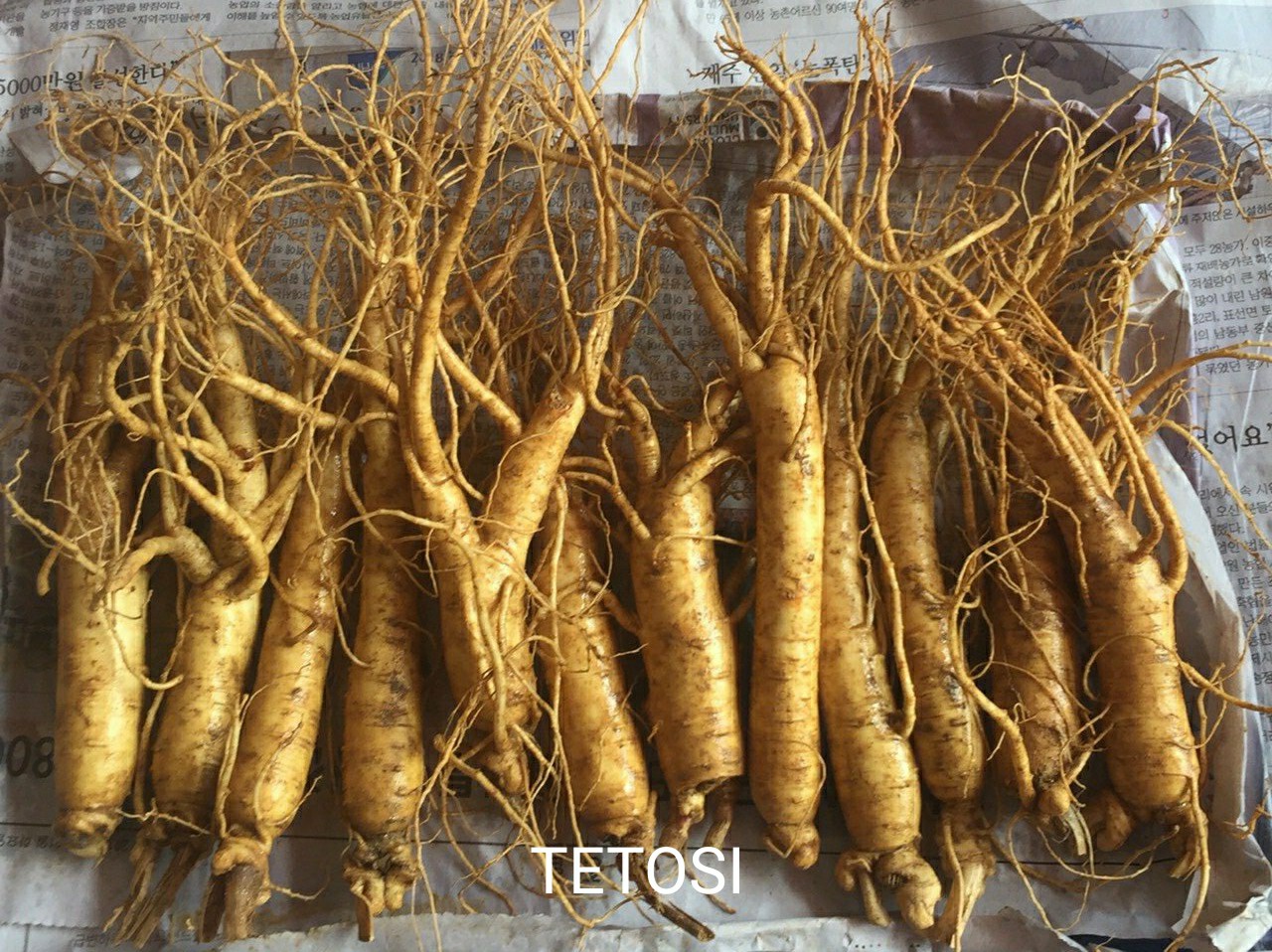 Nửa Ký Sâm Tươi Hầm Gà  Hà Quốc ( 10-15 củ), Giúp Tăng Cường Sức Đề Kháng, Nhân Sâm Tươi Hàn Quốc, Sâm Tươi Ngâm Mật Ong, Sâm Tươi Hầm Gà, Tetosi