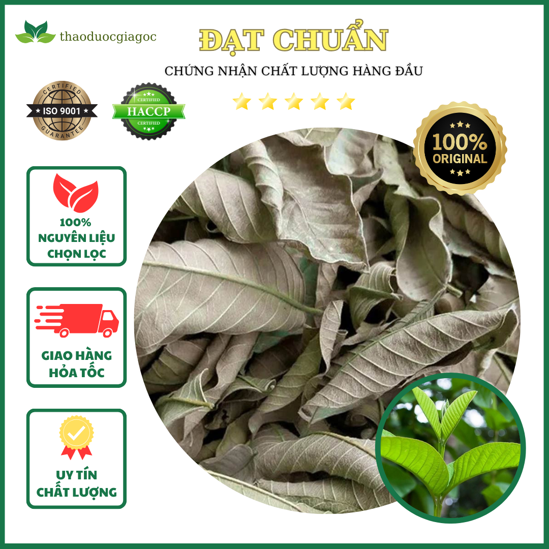1kg trà lá ổi khô