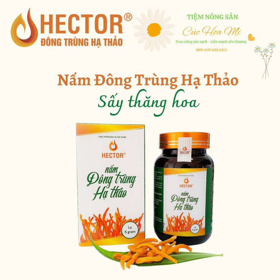 Nấm Đông Trùng Hạ Thảo Hector Bồi Bổ Cơ Thể Nâng Cao Sức Khỏe Lọ 5g
