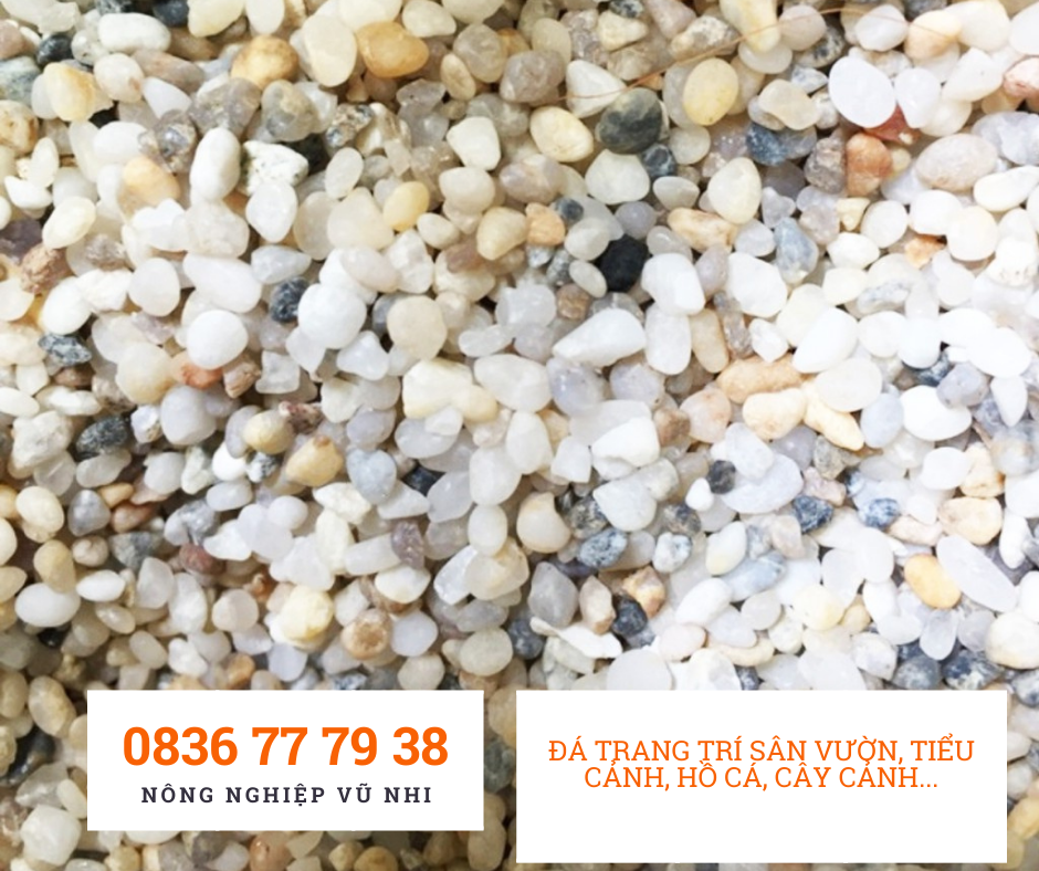 Đá sỏi trang trí sân vườn, chậu cây, hồ cá, tiểu cảnh, cây hoa kiểng 1kg - hatgiong24h