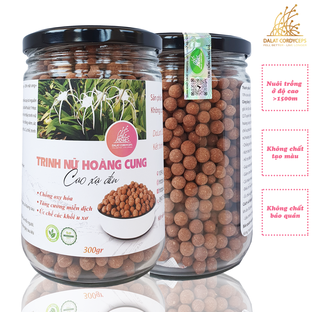 Viên trinh nữ hoàng cung cao xạ đen - Dalat Cordyceps