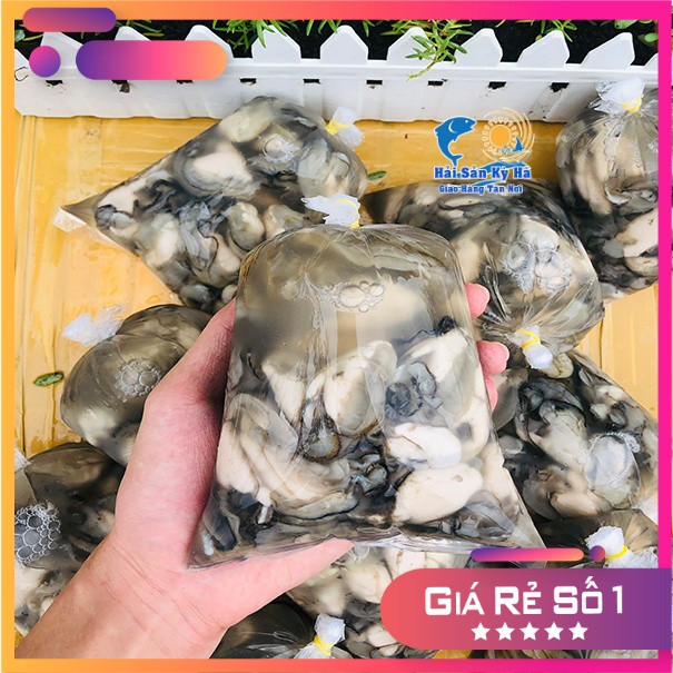 [GIAO NHANH 2H HCM] Giá sỉ 1Kg Ruột Hàu Sữa Pháp - Hải Sản Kỳ Hà