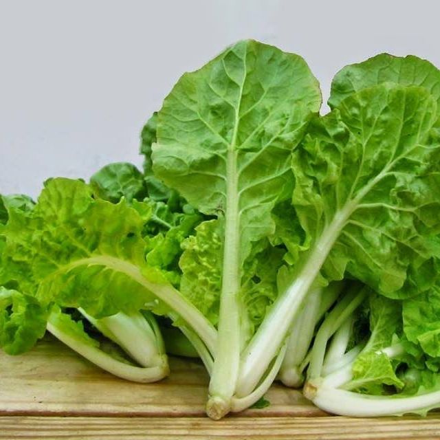 10g hạt giống cải bẹ dún giòn ngọt dễ trồng