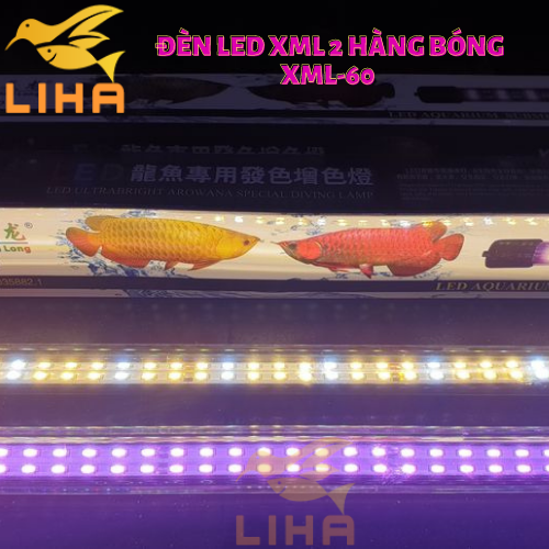 Đèn led xml 2 hàng bóng xml-60 - led thủy tinh xuanmeilong chuyên dụng cho cá cảnh