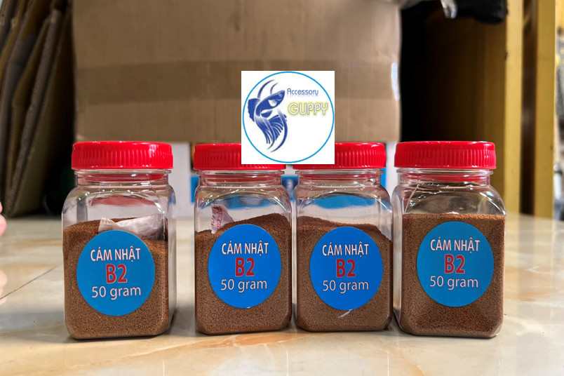Cám trộn nhật b2