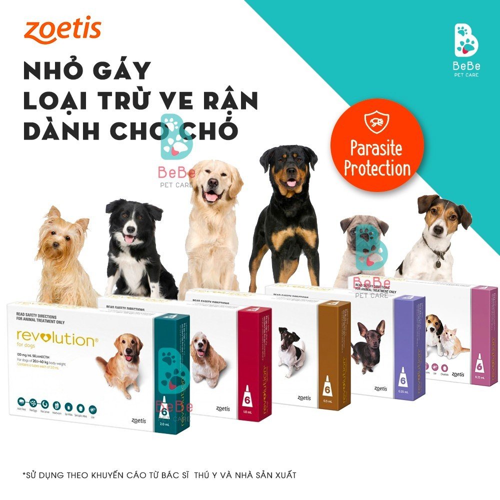 Nhỏ Gáy Zoetis Revolution Bảo Vệ Phòng Ngừa & Loại Trừ Ve Rận Cho Chó