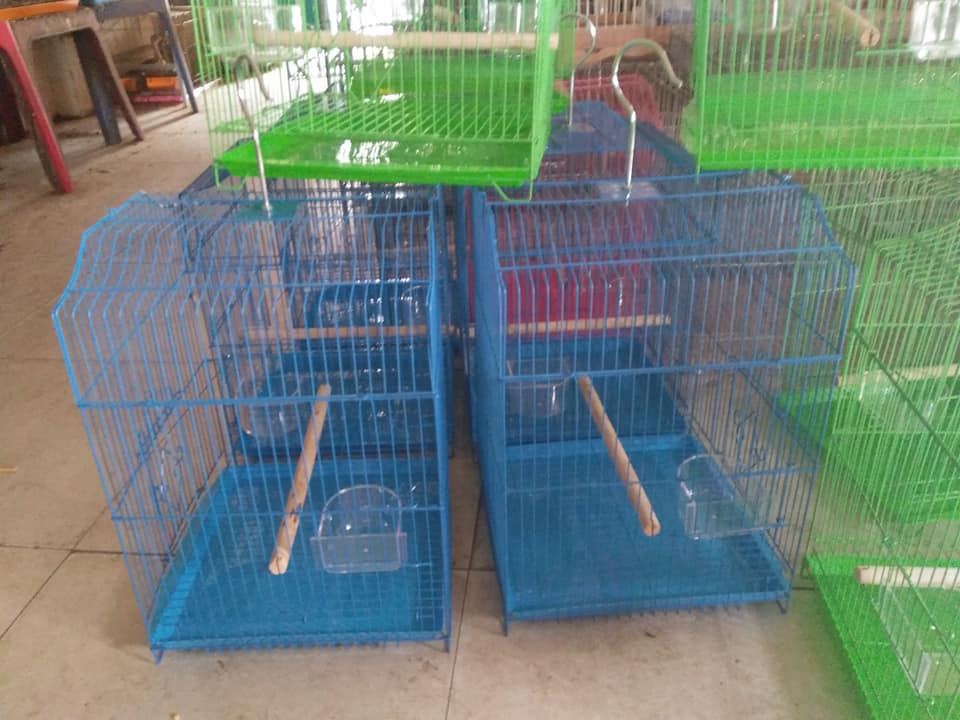 Lồng chim yến phụng 402(Giao màu ngẫu nhiên)