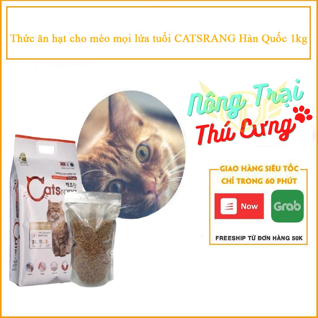 Thức ăn hạt cho mèo mọi lứa tuổi CATSRANG Hàn Quốc - Túi 1kg hạt thức ăn mèo Catrang đầy đủ chất dinh dưỡng