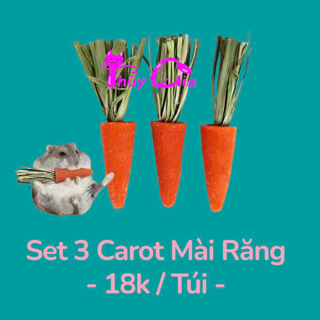 SET 3 CAROT MÀI RĂNG CHO HAMSTER