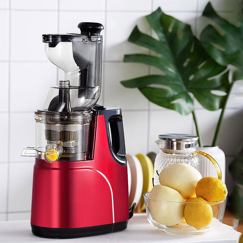 Máy ép chậm Hongxin Rh-312 , Máy ép chậm trái cây cổ bình to , Tặng kèm 2 cốc đựng + Bàn chải vệ sinh máy
