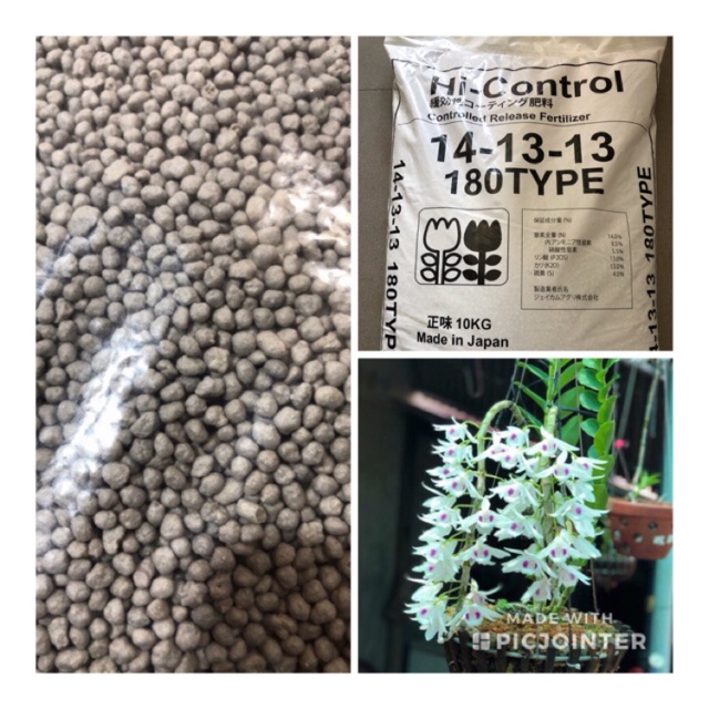 Phân chì nhật-phân bón chậm tan cho lan, cây cảnh 1kg