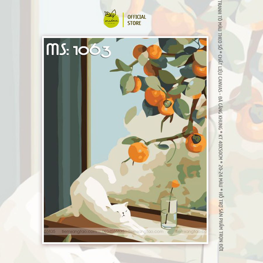 Tranh tô màu theo số khung 40x50cm chú mèo bông bên đóa hồng t1063