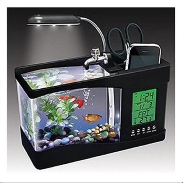 Bể cá mini kiêm đồng hồ để bàn
