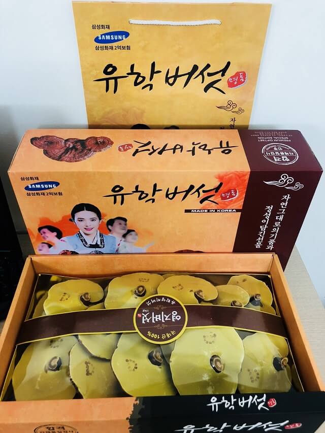 Hộp 1KG Nấm Linh Chi HQ Cô Gái - Có Túi Xách