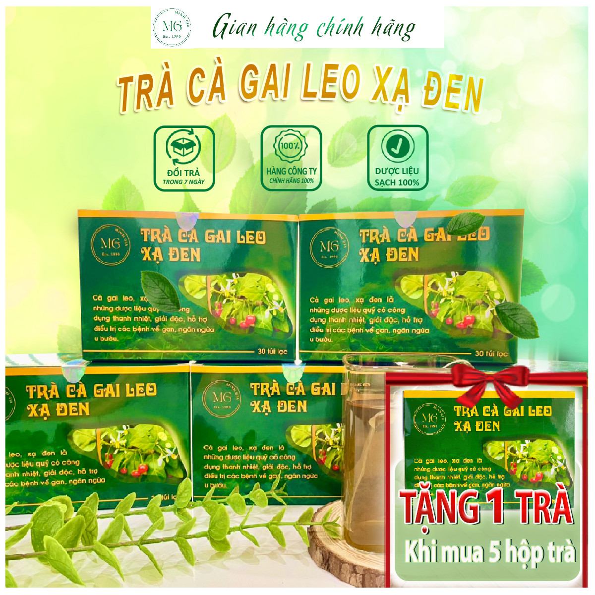 Combo 5 trà cà gai leo mát gan giải độc,hạ men gan và phục hồi chức năng gan, giúp giải rượu,thanh nhiệt cơ thể