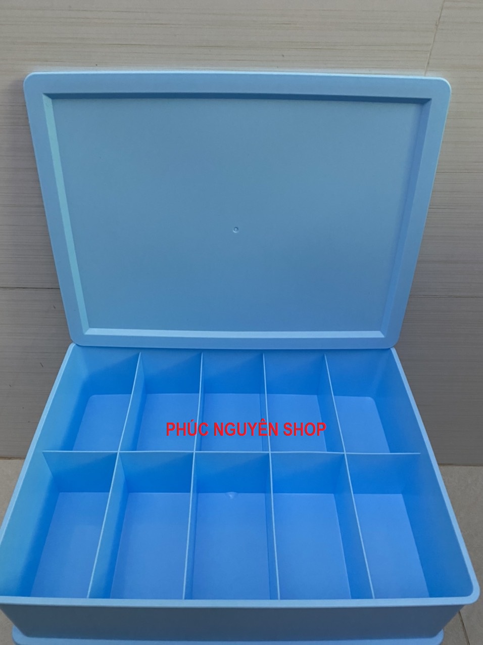 [HCM]Khay đựng quần áo đồ lót 10 ngăn nhựa PP HomeStar PNS262