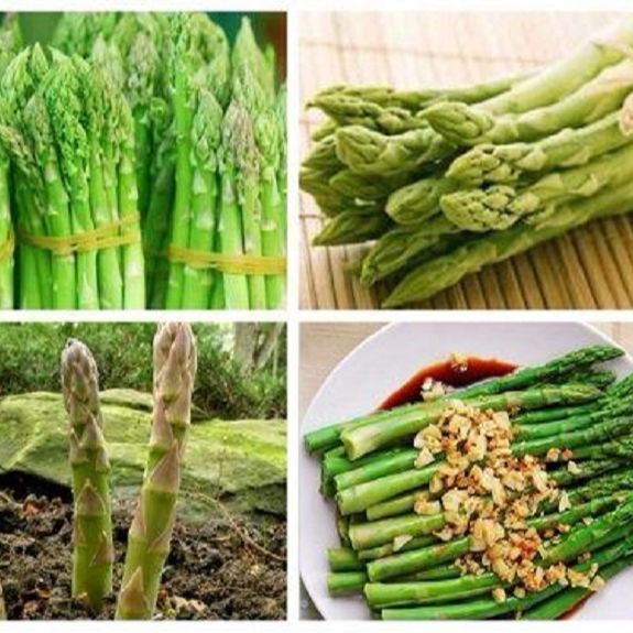 Hạt giống Măng Tây Mỹ - 0.5gr/gói