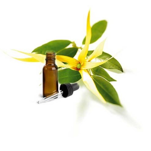 Tinh dầu thơm xông phòng Hương Ngọc Lan Tây lọ 10ml