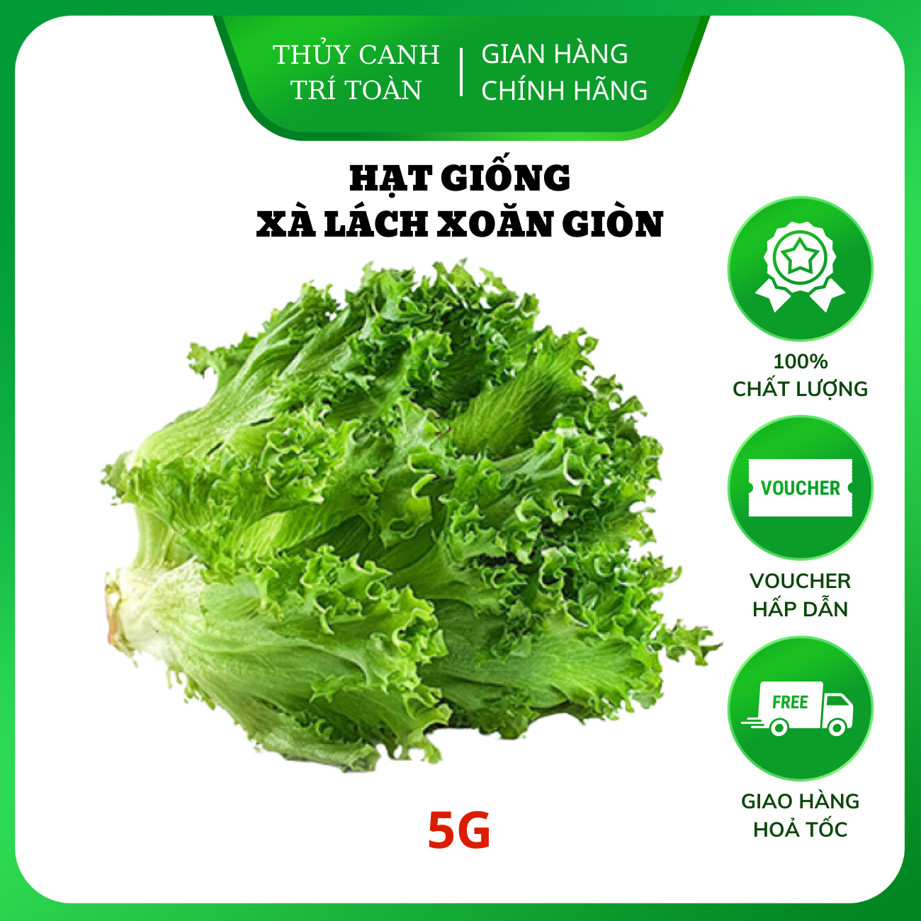 Hạt giống Xà Lách Xoăn giòn chịu nhiệt tốt, trồng quanh năm, nhanh thu hoạch - Hạt giống Rạng Đông