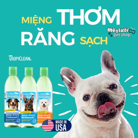 Nước uống thơm miệng sạch răng cho chó mèo Tropiclean