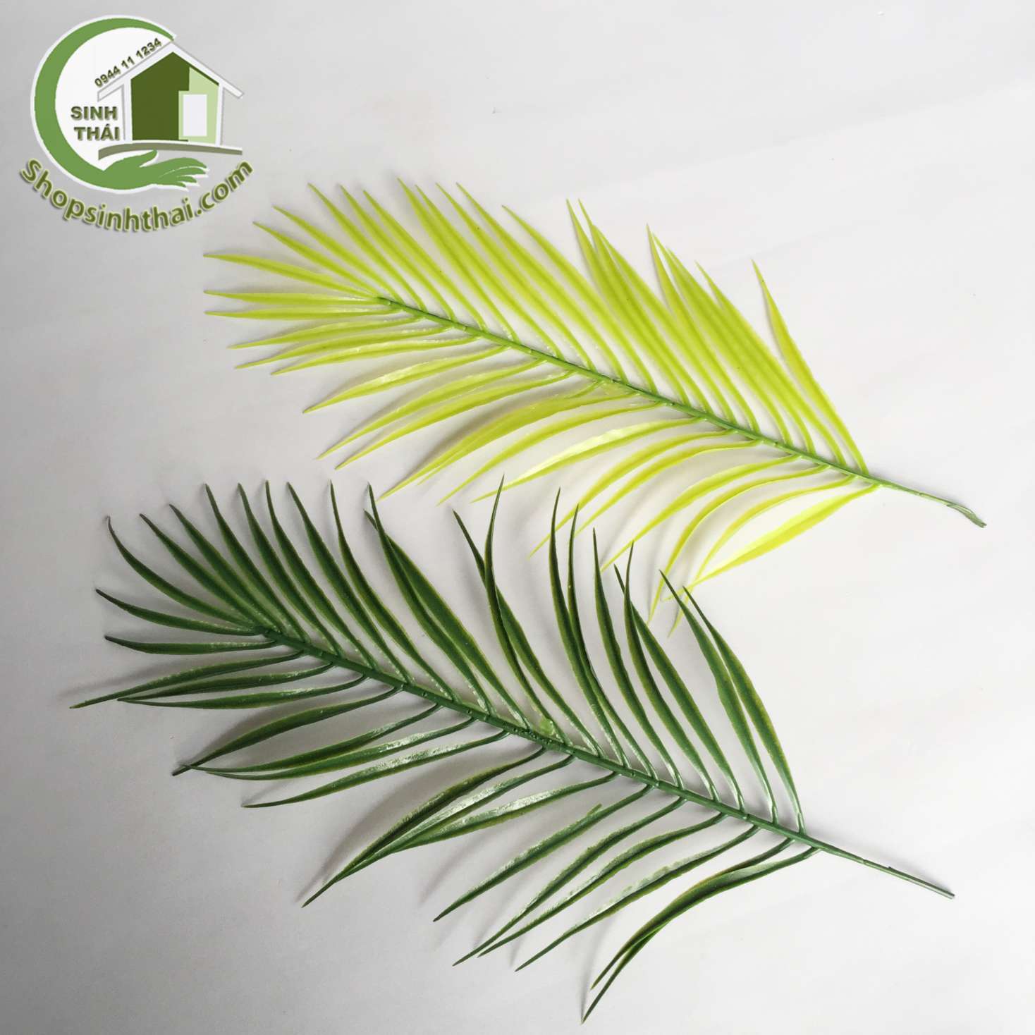 [HCM]Lá dừa nhỏ - lá cây trang trí - phụ kiện lá cây chụp hình ảnh sản phẩm