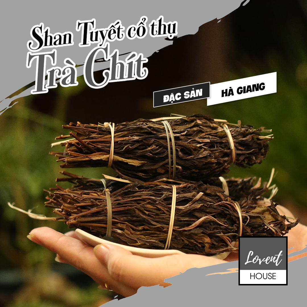 Trà chít - shan tuyết cổ thụ - đặc sản hà giang
