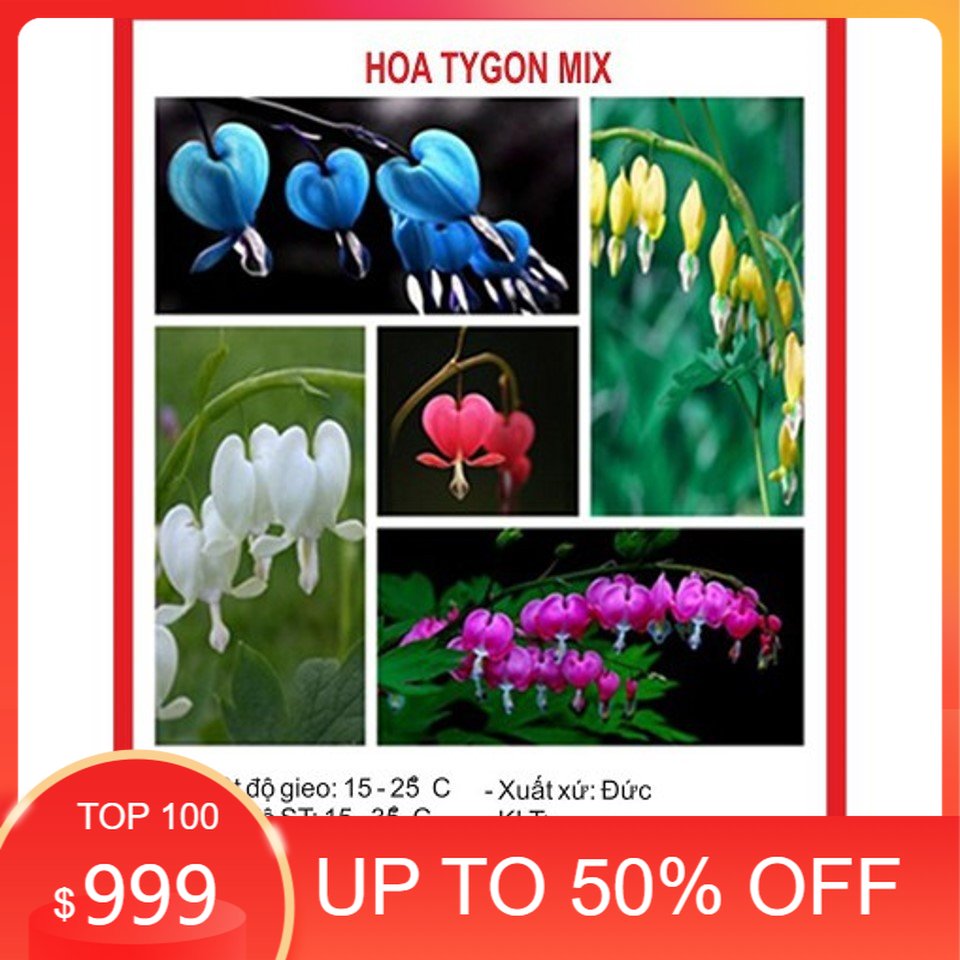 Hạt giống hoa tigon mix 5 mầu xanh trắng hồng đỏ vàng gói 20 hạt đến mùa trồng tết