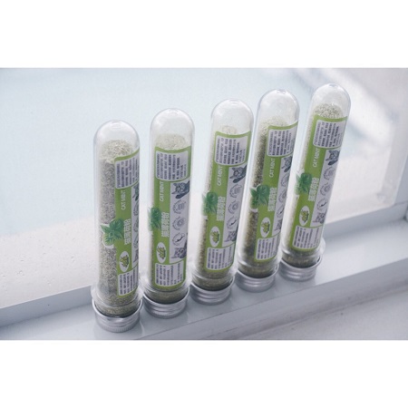 [HCM]Cỏ Bạc Hà Cỏ Mèo Catnip Ống 45ml Giúp Mèo Thư Giản Tiêu Hóa Tốt Khạc Búi Lông