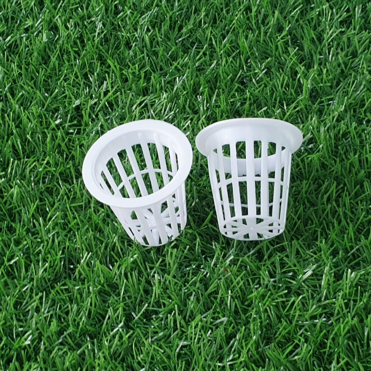 RỌ NHỰA TRỒNG RAU THỦY CANH 50MM