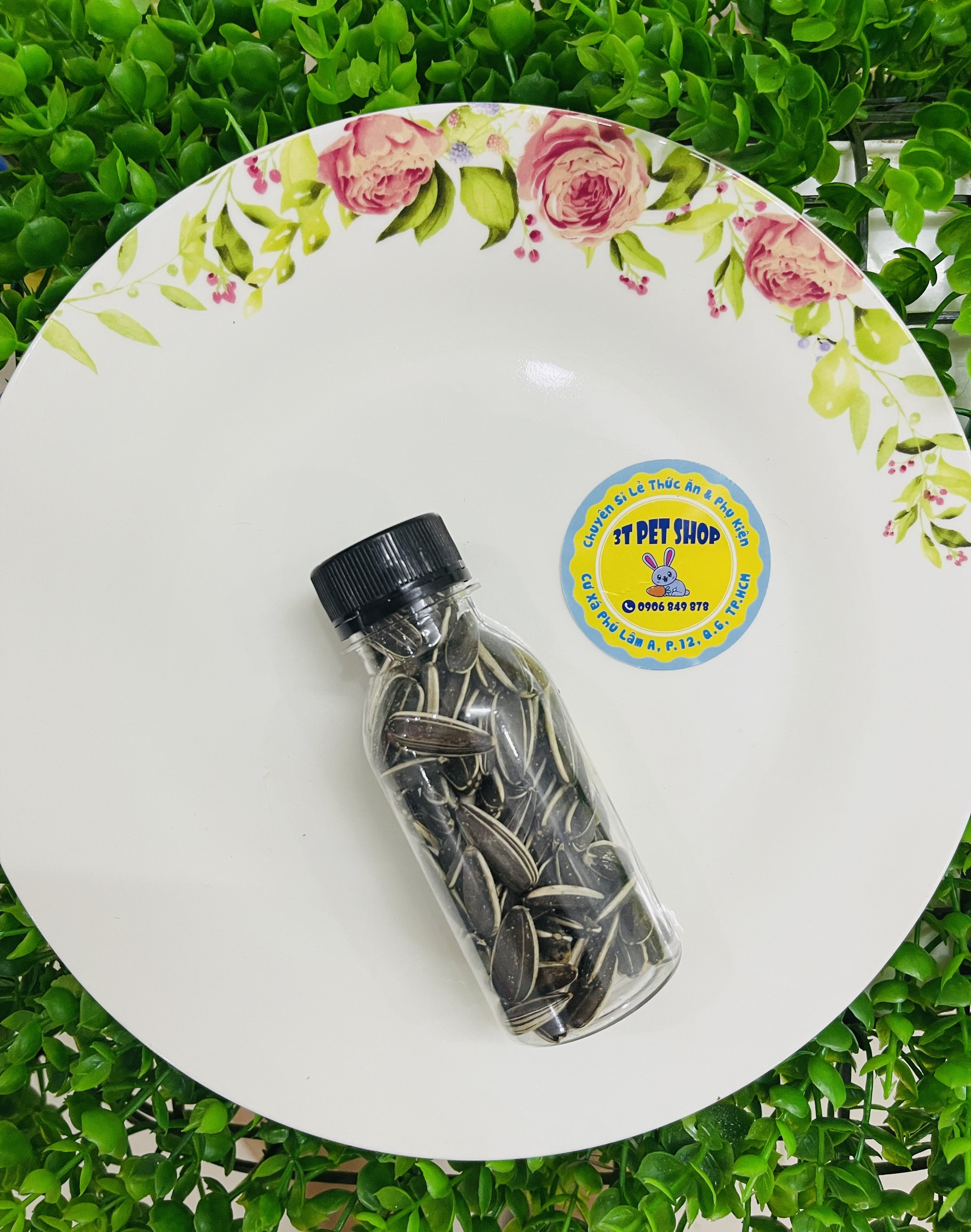Hướng dương hạt lớn