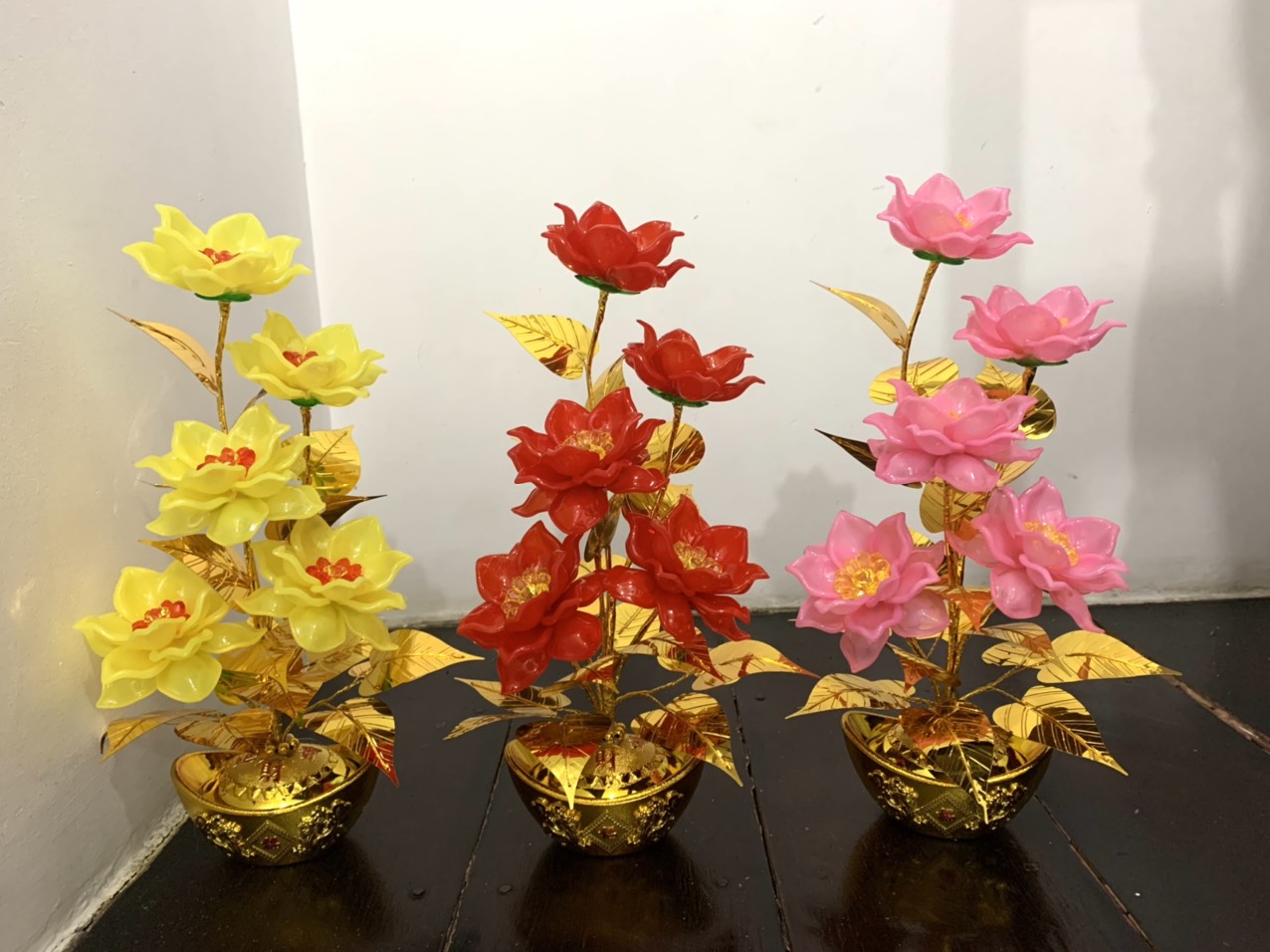 Cây kim tiền- Chậu hoa để bàn thờ cao 38cm