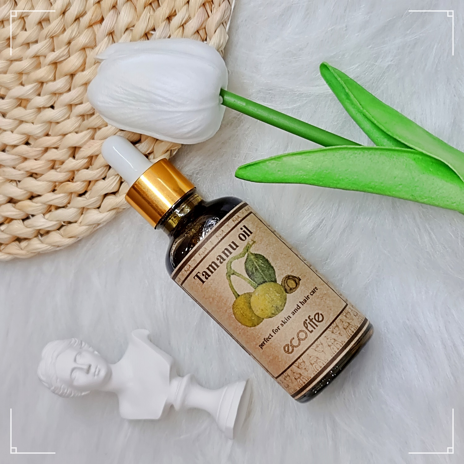 Dầu mù u ngừa mụn Ecolife- Hộp đựng 3D