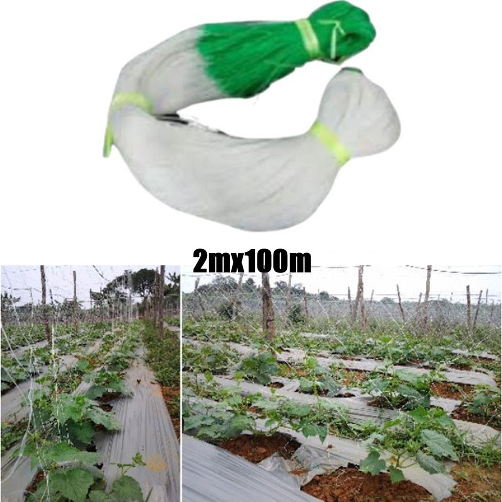 1 cái vườn cây leo Net Nhựa Nylon Net hoa dưa nho lưới hỗ trợ Net phát