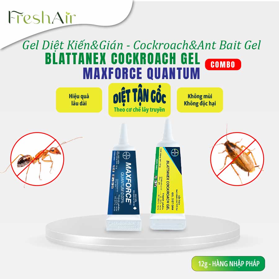 Maxforce Quantum Vs Blattanex Cockroch Gel, Tiết Kiệm Hơn