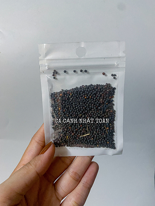 "Hoàn tiền đến 10%" HẠT GIỐNG THỦY SINH CỎ TRÁI TIM 10G